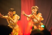「こみっきゅおん！2nd Anniversary ONEMAN LIVE VIOLA～揺るがない想い～」の様子。（Photo by Junpei Yamada）