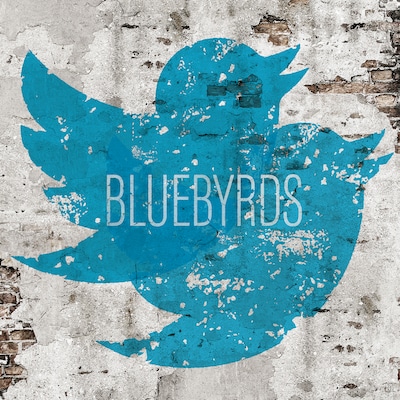 BLUEBYRDS「BLUEBYRDS」配信ジャケット