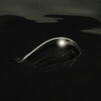 Loupx garoux「暗野」ジャケット