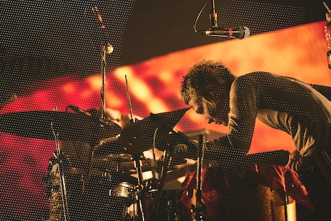 藤本夏樹（Dr）（撮影：鳥居洋介）