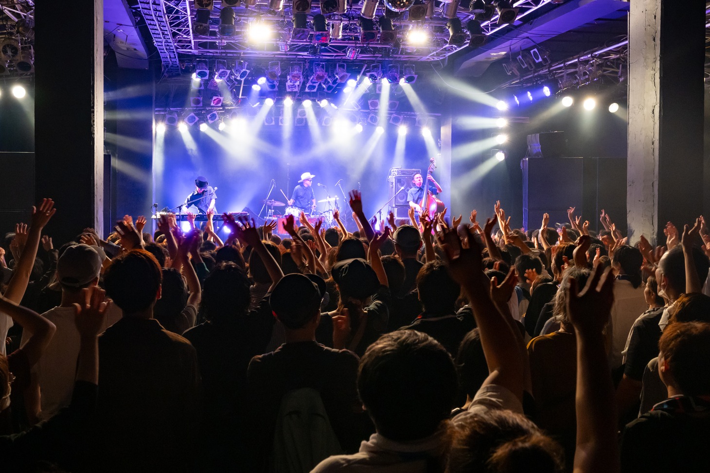 「H ZETTRIO LIVE 2024 ～続続々・スタンディングで飛ばしたっしょ！～」の様子。（Photo by Yuta Ito）
