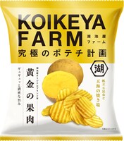 「KOIKEYA FARM 黄金の果肉 帆立と昆布と天海の焼き塩」