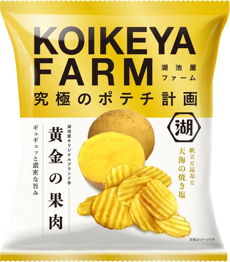 「KOIKEYA FARM 黄金の果肉 帆立と昆布と天海の焼き塩」