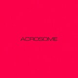 Acrosomeロゴ