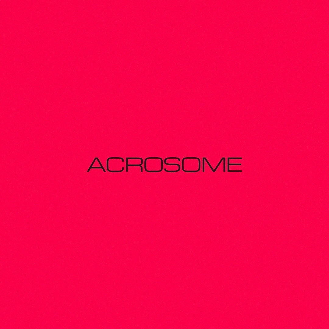 Acrosomeロゴ