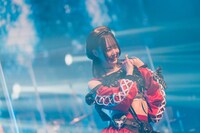 ネ兎ねう（撮影：真島洸）