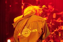 岡本伸明（Syn, Cowbell, Shriek / the telephones）（撮影：大橋祐希）