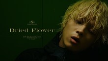 imase「Dried Flower」ミュージックビデオより。