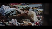 imase「Dried Flower」ミュージックビデオより。
