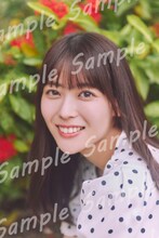 岩本蓮加（乃木坂46）1st写真集「いたずらな風」セブンネット（セブンネット限定版）特典ポストカード（Photo by SAKAI DE JUN）