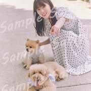 あんなれんたん、こんなれんたん、岩本蓮加の写真集特典は未掲載ショットてんこ盛り