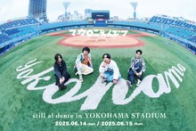マカロニえんぴつ「still al dente in YOKOHAMA STADIUM」キービジュアル