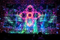 マカロニえんぴつ「TRIP INSIDE ～Osaka-Jo Hall & Nippon Budokan～」ツアーファイナルより「カーペット夜想曲」の様子。（撮影：浜野カズシ）