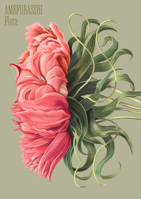 AMEFURASSHI「Flora」豪華盤ジャケット