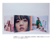 あいみょん「猫にジェラシー」レコードのイメージ。