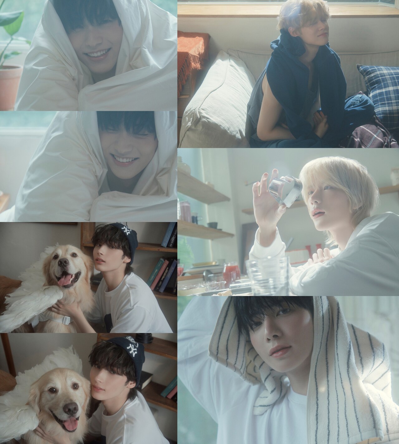 「The Star Chapter: SANCTUARY」の「ANGEL」バージョンのコンセプトフォト。 (P)&(C) BIGHIT MUSIC