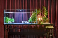 「SEVENTEEN's Airbnb」の様子。