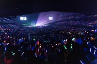 超特急のライブの様子。