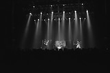 台風クラブのライブの様子。(撮影:今井駿介)