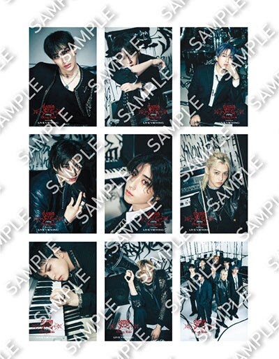 Stray Kids - Stray Kids スキズ dominATE Japan (東京公演)  グッ GcW351VWUAAmOPj.jpg