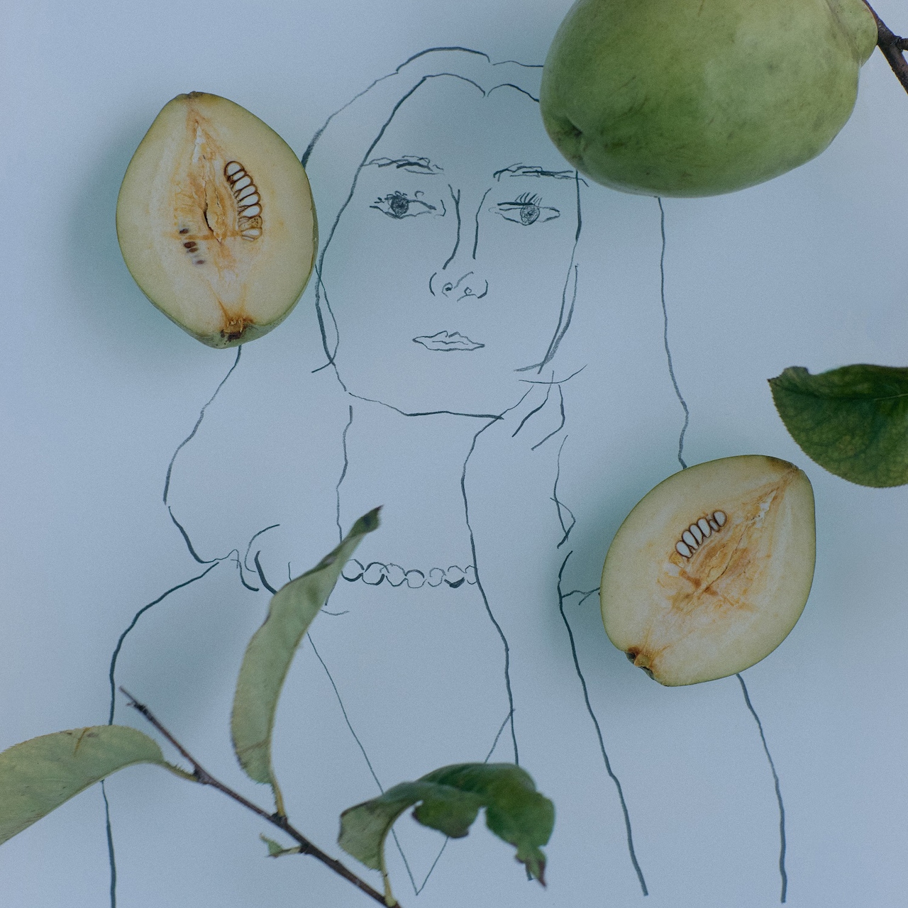 原田知世ミニアルバムより川谷絵音の提供曲配信「知世さんのことを想像