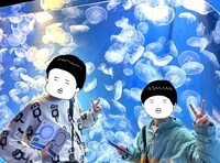 ミズクラゲの水槽前で。