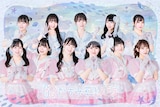かすみ草とステラ