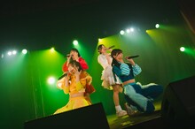 豆柴の大群都内某所 a.k.a. MONSTERIDOL