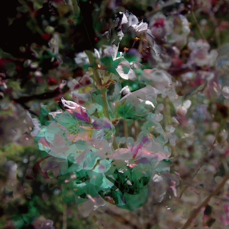 カフカ鼾「嗜眠会」ジャケット