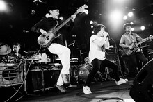 フラワーカンパニーズ（撮影：新保勇樹）