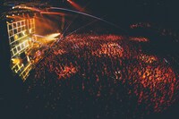 フレデリックのライブの様子。（撮影：西槇太一）