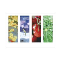 南條愛乃フォトエッセイ「こんなそんなまいにち」グッズのクリアしおり