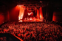 サバシスター（撮影：齋藤タカヒロ）