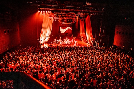 サバシスター（撮影：齋藤タカヒロ）