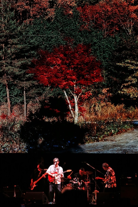 「永遠少女」を演奏するZAZEN BOYS。（撮影：菊池茂夫）