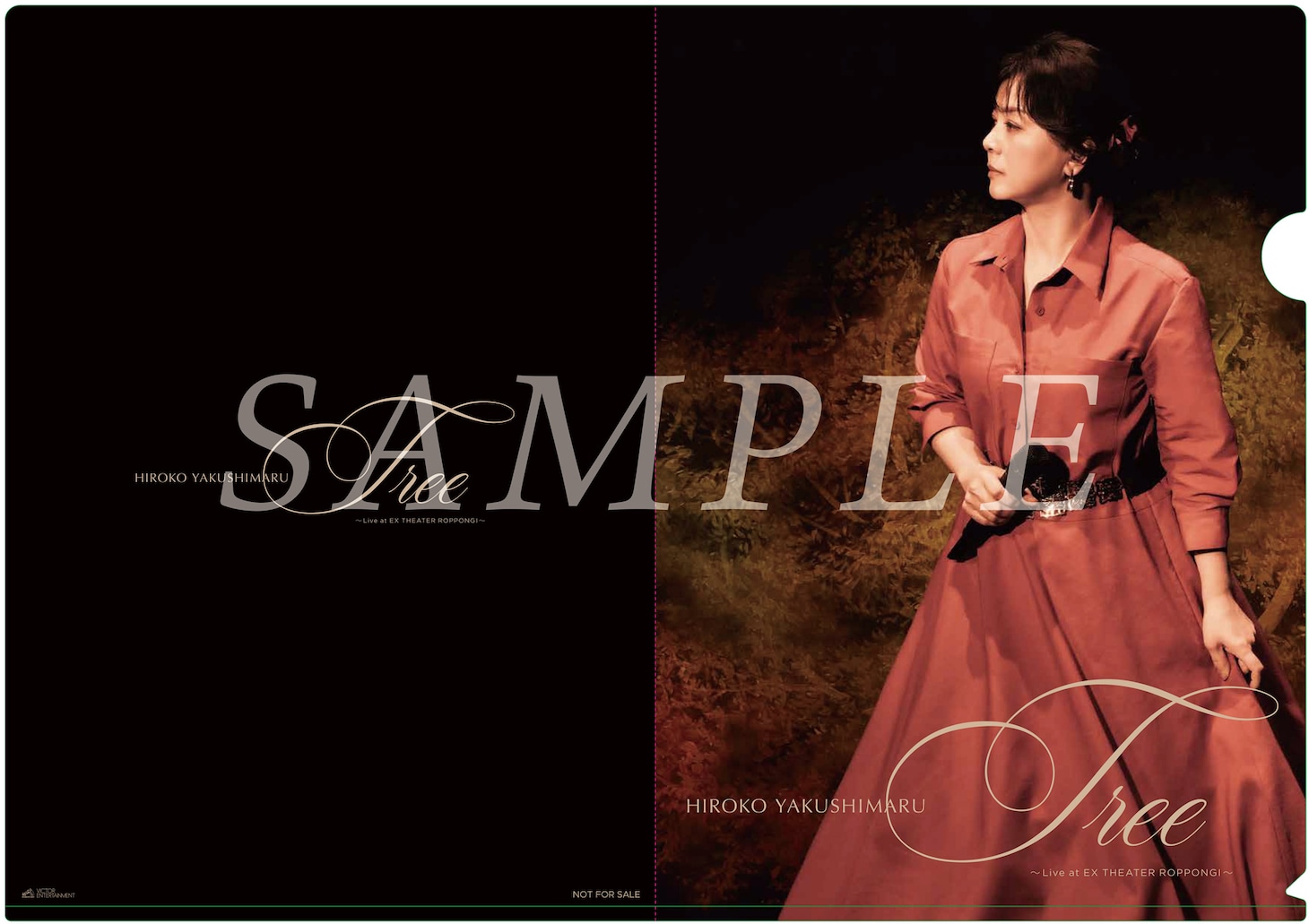 薬師丸ひろ子「Tree ～Live at EX THEATER ROPPONGI～」特典クリアファイル