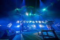 キュウソネコカミ