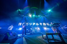 キュウソネコカミ