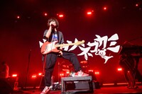 キュウソネコカミ