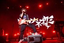 キュウソネコカミ