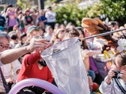 チャラン・ポ・ランタン「秋のブタ音楽祭2024 ～空き地deランタンサーカス～」の様子。（撮影：なかむらしんたろう）