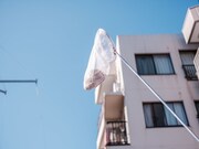 チャラン・ポ・ランタン「秋のブタ音楽祭2024 ～空き地deランタンサーカス～」の様子。（撮影：なかむらしんたろう）