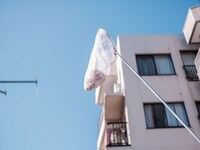 チャラン・ポ・ランタン「秋のブタ音楽祭2024 ～空き地deランタンサーカス～」の様子。（撮影：なかむらしんたろう）