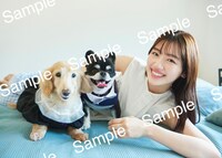 佐々木美玲（日向坂46）1st写真集「陽射しのパレード」書店限定特典ポスター（HMV & BOOKS SHIBUYA）（撮影：熊木優［io］）