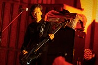 キタダマキ（B）（撮影：河本悠貴）