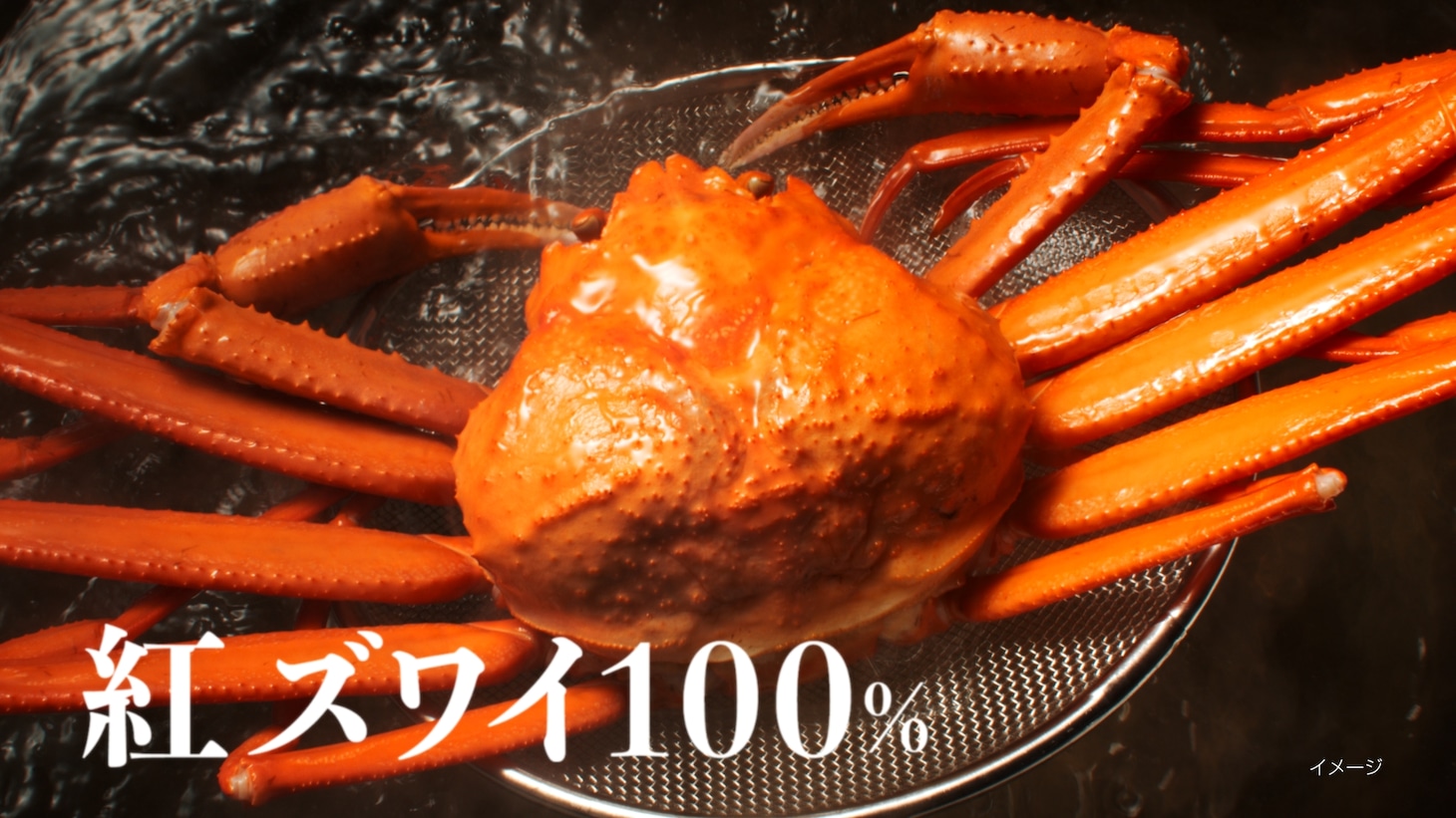 ピザーラ「濃厚カニリッチ～オマール海老ソース仕立て～」テレビCMより。