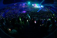 MAZZELのライブの様子。