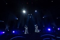 「ClariS AUTUMN TOUR 2024 ～Via Fortuna～」ファイナル公演の様子。（撮影：平野タカシ）