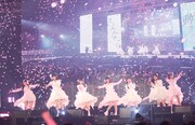 桜吹雪が舞う中でパフォーマンスする真っ白なキャンバス。（撮影：後野順也）