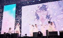 桜吹雪が舞う中でパフォーマンスする真っ白なキャンバス。（撮影：後野順也）